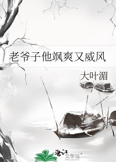 小说老爷子